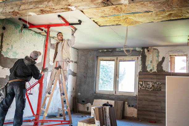 Best Cellulose Insulation  in Monona, WI