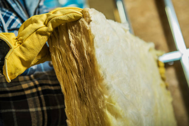 Best Best Insulation Companies  in Monona, WI
