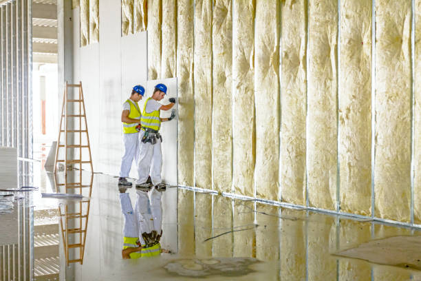 Best Insulation Contractor Near Me  in Monona, WI